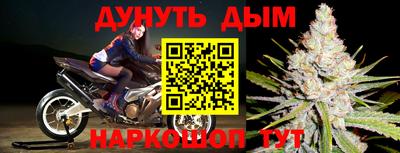 PSILOCYBIN Кинель