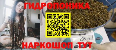 PSILOCYBIN Кинель