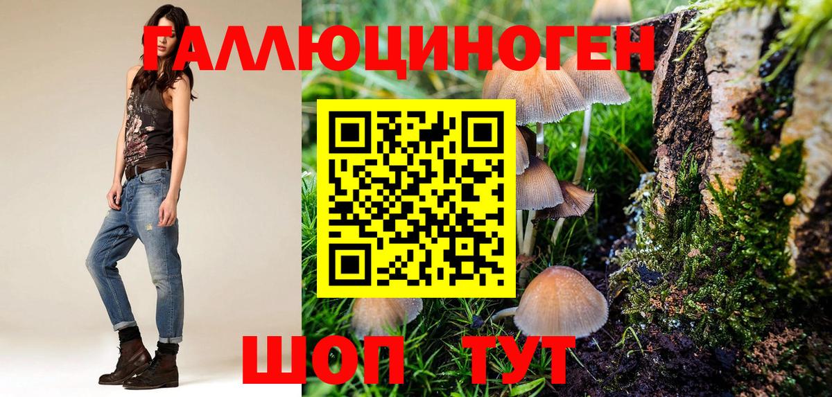 Галлюциногенные грибы Psilocybe Кириши