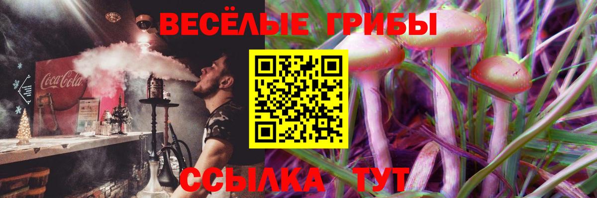 Кириши  закладка  Вход с VPN  Псилоцибиновые грибы Cubensis 
